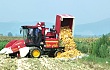 陕西省“三秋”力争完成机收玉米890万亩