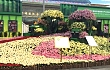美丽绽放春城 约翰迪尔精彩亮相昆明国际农博会