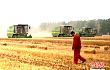 中国农业补贴重视“绿色” 实现“三农”强、富、美