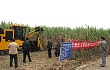 浙江恒丰机械在广西举办甘蔗机械化收割现场演示会