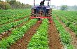 我国如何推进蔬菜农业机械化又好又快生产？