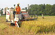 新型农机全方位为水稻“服务”