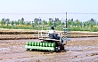 机械化直播：我国水稻种植的一场技术革命？