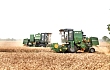 河南省麦收基本结束 实际收获小麦面积8129万亩