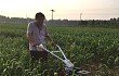 北京市农机鉴定推广站开展谷子中耕机械化技术试验
