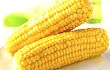上海鲜食玉米产业创新育种再出发