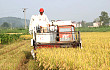 全国水稻“双抢”机械化作业接近尾声