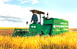 每亩节约220元 水稻机收省力省钱