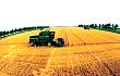 现代农业靠机械化 须把农机“服务”好