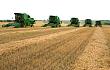 农业“补短板”：农业装备还须加大马力