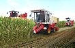陕西省今年“三秋”机收玉米将达50%以上