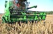 小麦收割机开进大豆田