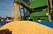调减籽粒玉米3000万亩，农业供给侧改革放开了步子