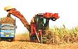 实现甘蔗生产机械化是推进农业全面机械化的重要组成部分
