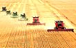 陕西今年将大力推进农业供给侧结构性改革