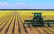 农业部：保障农业生产安全春管春播顺利开展