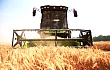 大规模小麦跨区机收告捷五型新“三夏”亮点纷呈