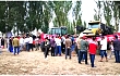 麦赛福格森系列拖拉机演示会在新疆阿拉尔成功召开