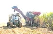 鼓励蔗业机械化 每台甘蔗收割机补助10万元