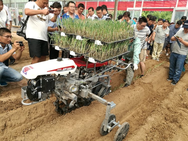 国内首次葱姜蒜生产全程机械化专题研讨会、田