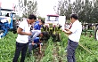 德邦大为两行免耕播种机参加2017首届中国（北方）农业机械田间日活动