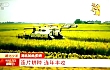 CCTV新闻频道特别节目《还看今朝•湖北篇》，沃得锐龙助力湖北农业结构转型