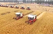 工信部对农机装备转型升级有“大动作”！