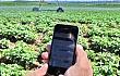 我国农机智能化水平加速提升 ——手机变身新农具