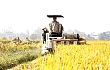 全国人大代表王晓梅：新型职业农民培训可以设置农机专业！