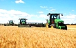 今年主产区六省实行小麦**低收购价