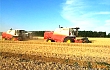 全国大规模小麦跨区机收拉开序幕！大喂入量收割机占比将超过60%！
