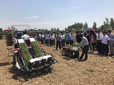 洋马农机携新机具新技术亮相中国农机推广田间日活动