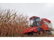 籽粒機收引領玉米產業高質量發展