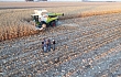 CLAAS LEXION 8600T联合收割机创造新世界玉米收获纪录