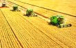 河南省2020年“三夏”麦收进度超51.5%