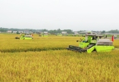 中聯智能農機助力水稻生產減損增效