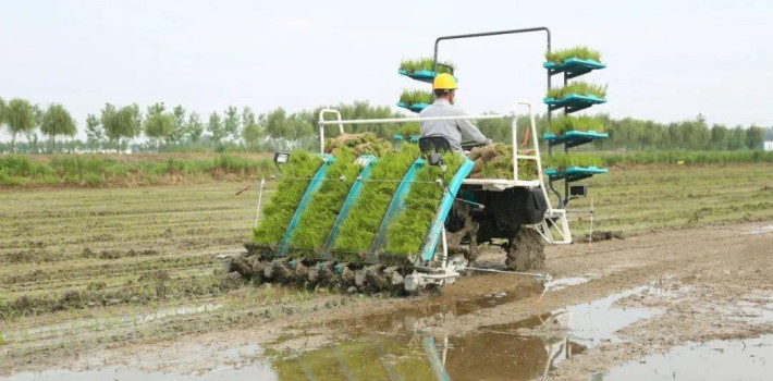 稻谷價格低迷，競爭對手增多，2022年插秧機市場流年不利