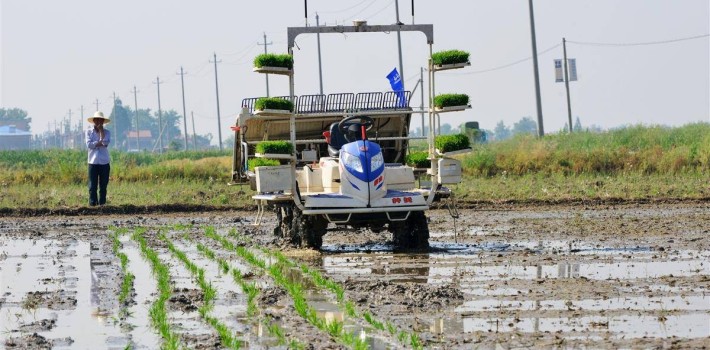 2023水稻面积减少，无人机鸠占鹊巢，插秧机如何突围？