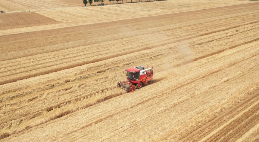 小麦收的新周期，新疆-2卷土重来
