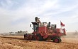 质量可靠收益高，新疆-9掀起农机市场新热潮