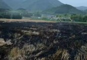 杭州一村民焚燒秸稈產生煙塵污染被罰：過火面積450平方米