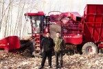 勇猛大六行玉米收獲機(jī)，效率和收益都更高,！