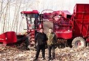 勇猛大六行玉米收獲機，效率和收益都更高！