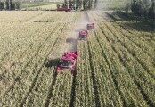 新疆制種玉米收獲必備利器——勇猛玉米收獲機
