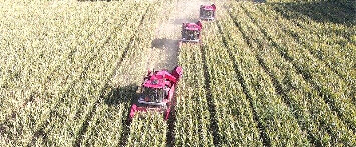 新疆制种玉米收获必备利器——勇猛玉米收获机