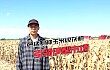 勇猛制种玉米收获机，引领伊犁市场