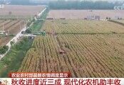 各類現(xiàn)代化新型農(nóng)機(jī)裝備“護(hù)航”秋糧顆粒歸倉 科技賦能讓“藍(lán)色糧倉”提產(chǎn)量
