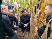 韓俊在河南調(diào)研時(shí)強(qiáng)調(diào) 全力抓好秋收秋種服務(wù)保障 提升農(nóng)業(yè)防災(zāi)減災(zāi)救災(zāi)能力