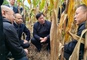 韓俊在河南調(diào)研時(shí)強(qiáng)調(diào) 全力抓好秋收秋種服務(wù)保障 提升農(nóng)業(yè)防災(zāi)減災(zāi)救災(zāi)能力
