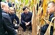 韩俊在河南调研时强调 全力抓好秋收秋种服务保障 提升农业防灾减灾救灾能力